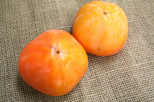 紋平柿